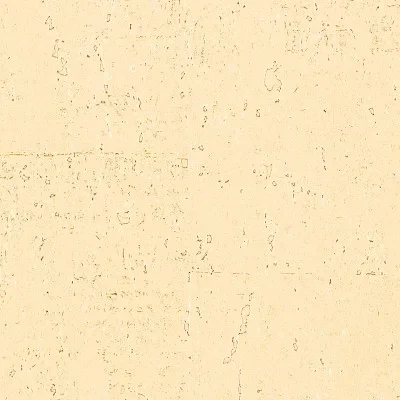 VINYL LUXE CORK — Ảnh 5