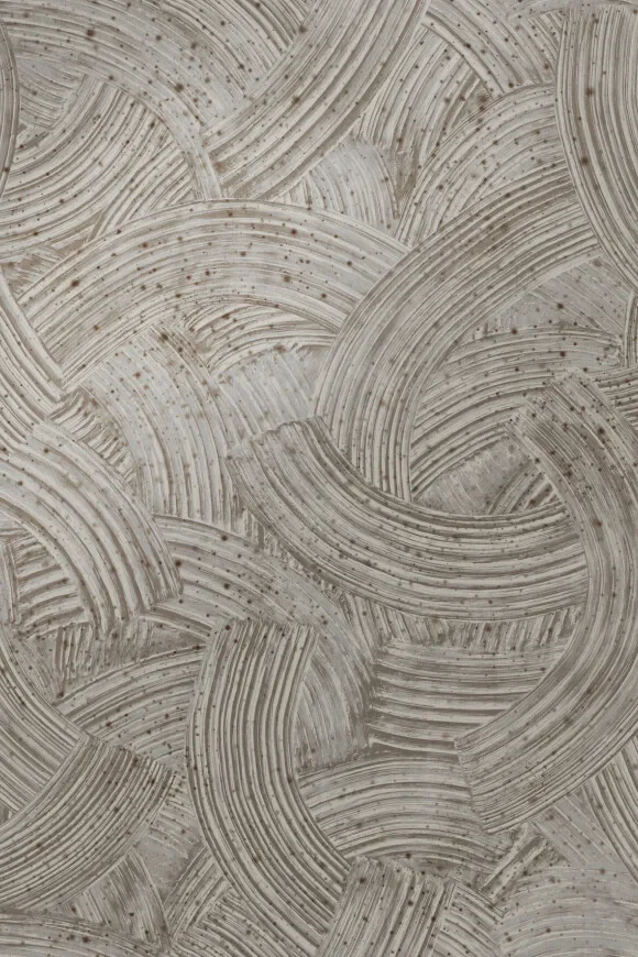 Impasto Silver — Ảnh 2
