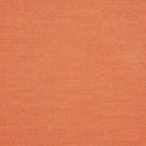 ESSENTIAL PINE — Image 6