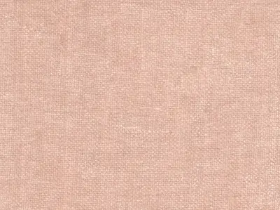Villus 210403-6