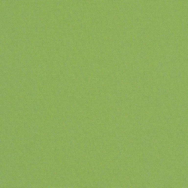 CANVAS GINKGO