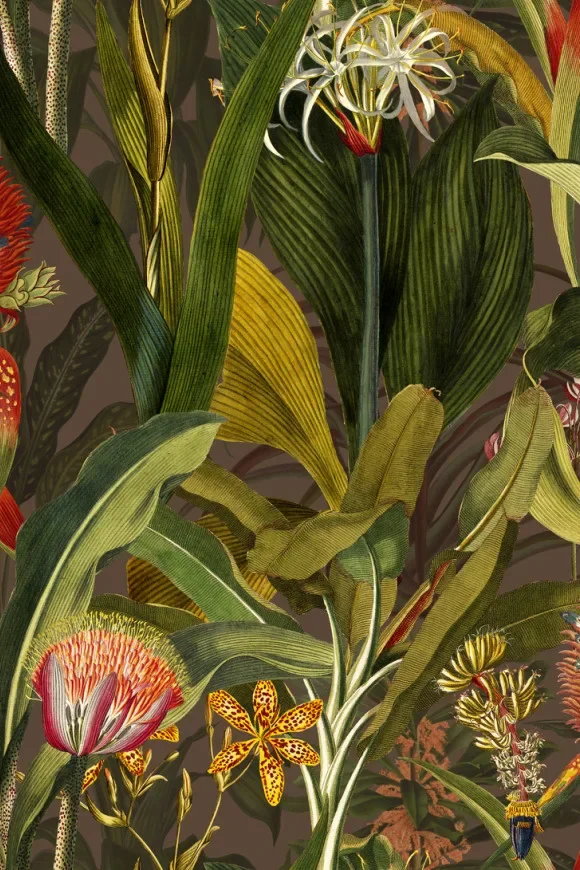 Blooming Pineapple Cardinal — Image 2