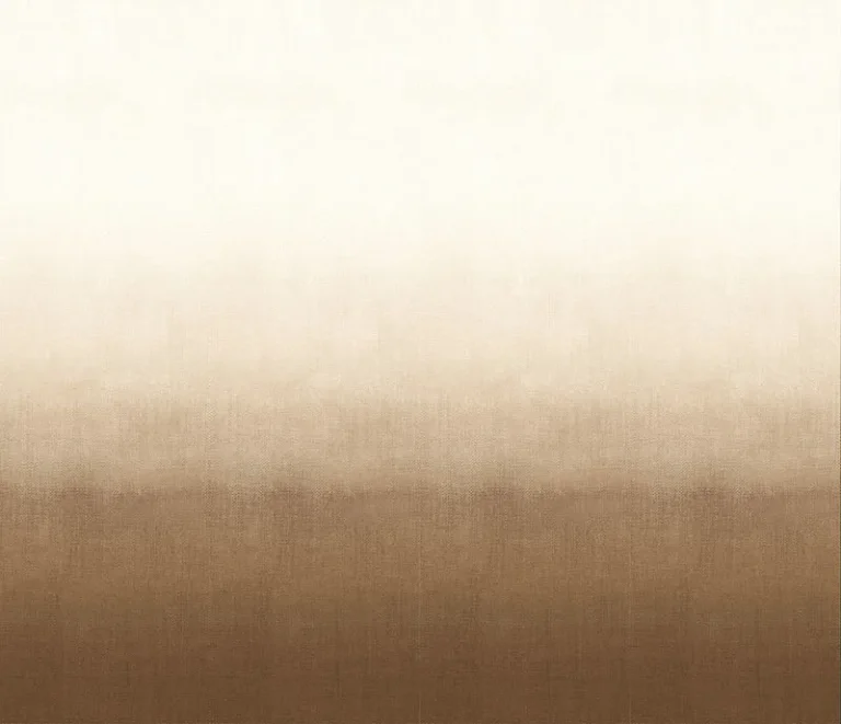 Shady DG2SHA106 — Image 4
