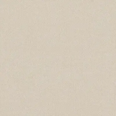 NATTÉ CANVAS