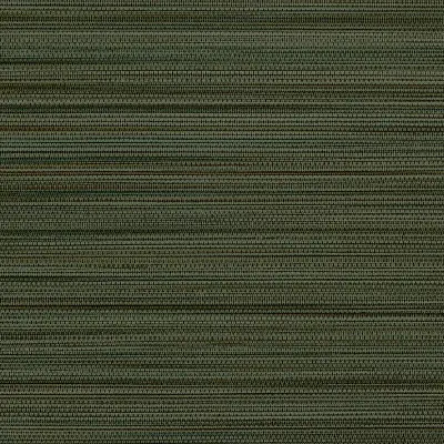 Vinyl Strie