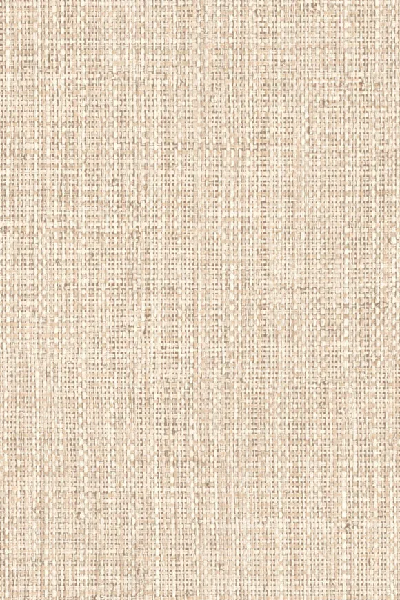 Nongo Warm White — Ảnh 2