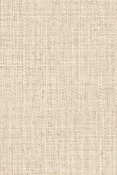 Nongo — Warm White