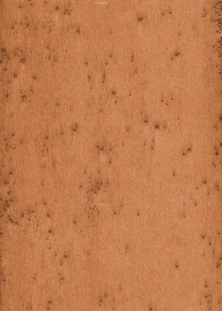 Stellar 37523 — Ảnh 4