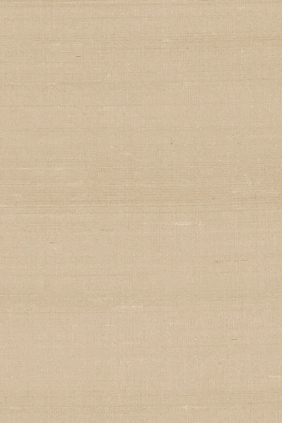 Latus 50518 — Ảnh 2