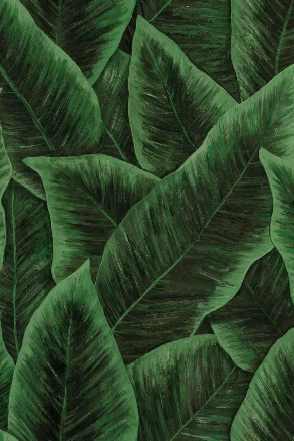 Bird Of Paradise Emerald — Ảnh 2