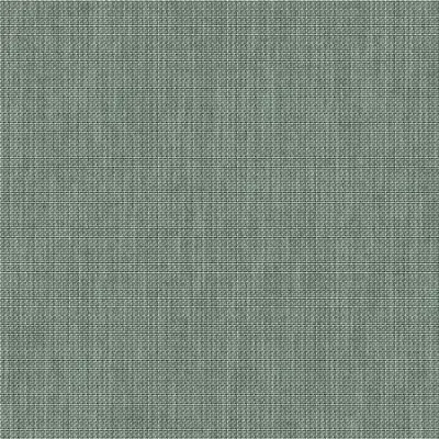 VELUM LICHEN