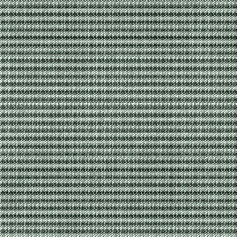 VELUM LICHEN