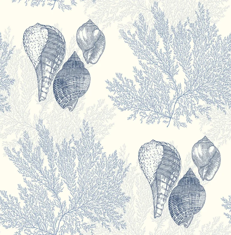 Nauset Seashell Shores Wallpaper - Blue — Ảnh 3