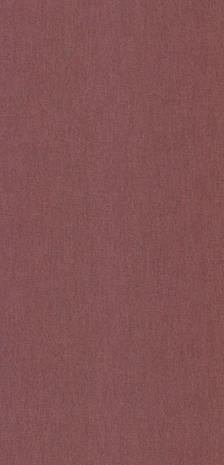 Lin Pimento — Ảnh 2