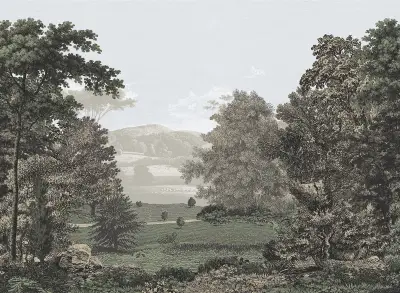 Erin & Ben Scenic Pastures Peel and Stick Wall Mural - Morning Light
