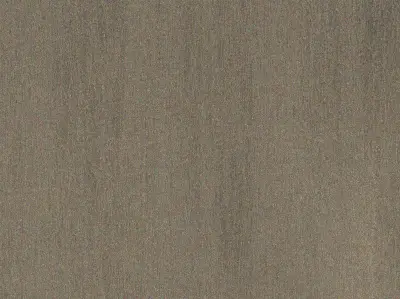 Starlight Fiber — 20050101