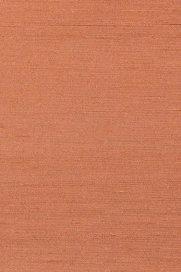 Papillon Tomato — Ảnh 3
