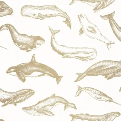 WHALE DONE — 102790266