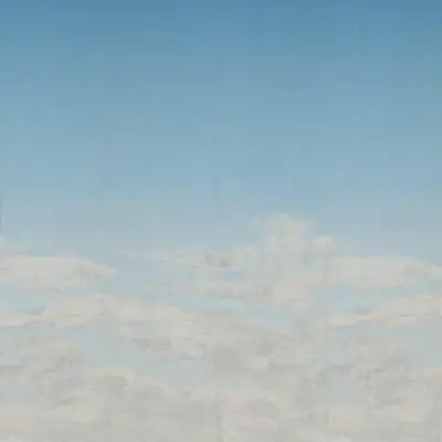 Digital Murals Butterfly Sky