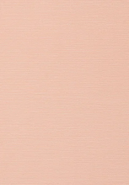 Taluk Sisal Wallpaper T75161 — Ảnh 2