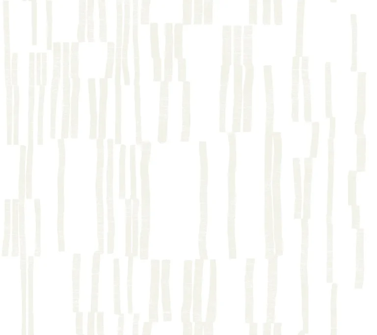 Nikki Chu Koso Peel and Stick Wallpaper - Pearl & White — Ảnh 4