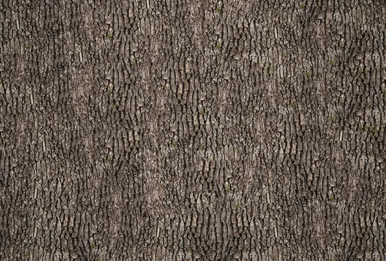Bark Wall - Wall Mural 5462 - 4 Panel - 192cm x 260cm — Ảnh 4
