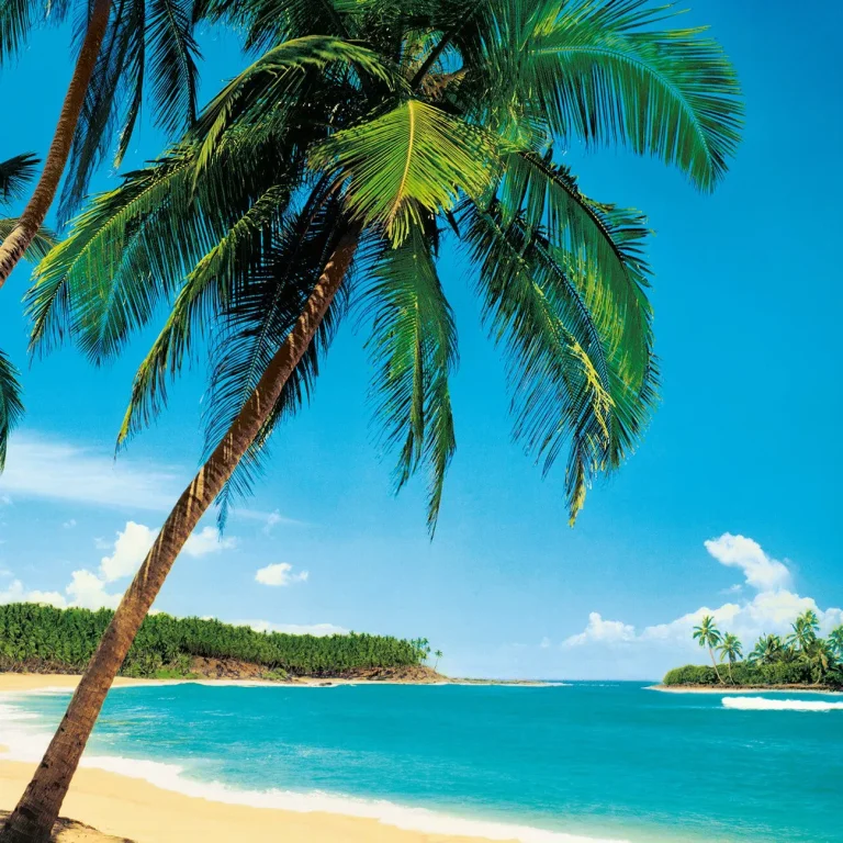 Ile Tropicale - Wall Mural 5421 - 8 Panel - 384cm x 260cm — Ảnh 3