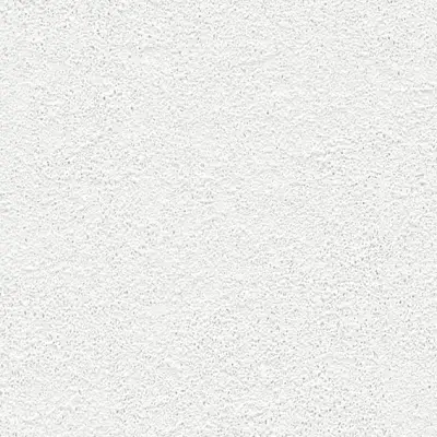 The Basic - White Beige Tone PT.02