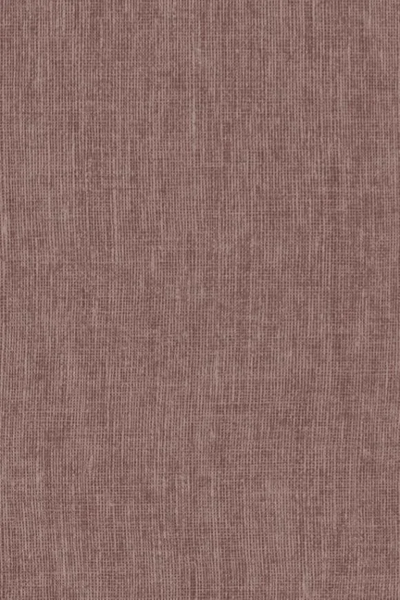 Lin Normandie Arabica — Ảnh 2