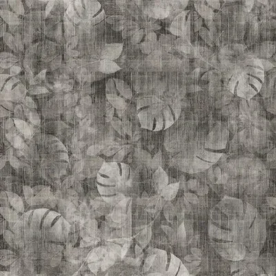 TRANSITION TROPIC — Image 3