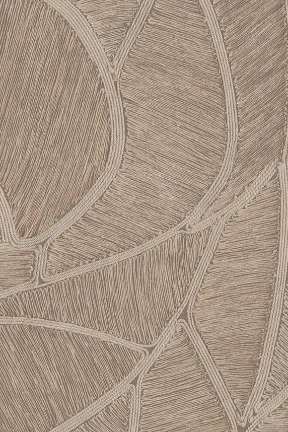 Spiral Taupe — Ảnh 2