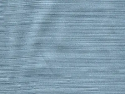 Silk 210501-31