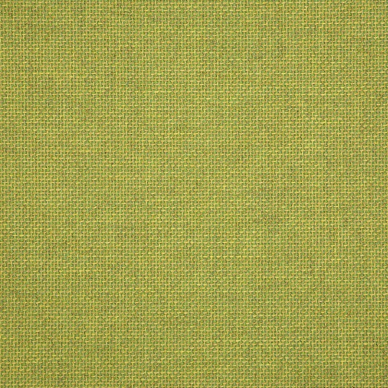 ESSENTIAL LIME