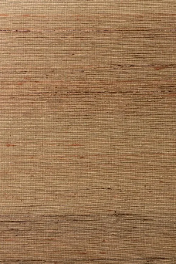 Dupion Pecan - 87207A — Ảnh 2