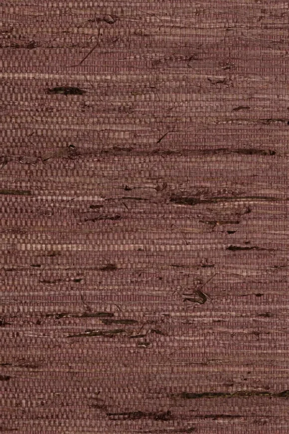 Kudzu Raisin — Ảnh 2