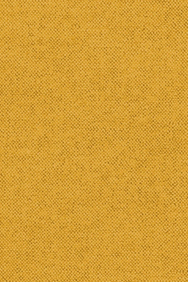 Lin Safran — Ảnh 2