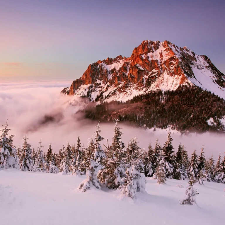 Snowy Mountain Peak - Wall Mural 5131 - 8 Panel - 384cm x 260cm — Ảnh 2