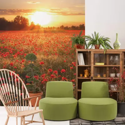 Poppy Field in Sunset - Wall Mural 5515 - 4 Panel - 192cm x 260cm
