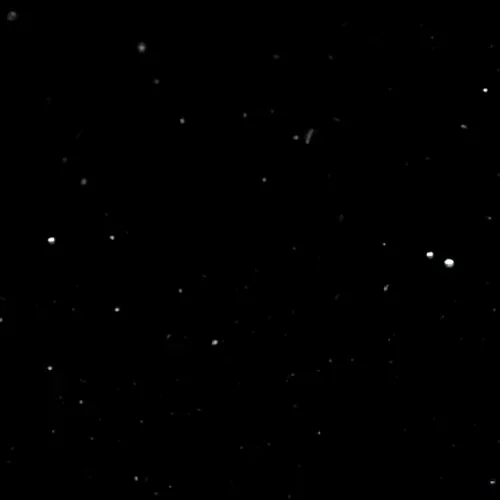 P102 PEARL BLACK — Image 2