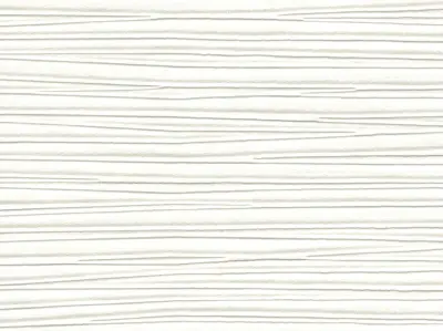 Vertical Crease — 20041409