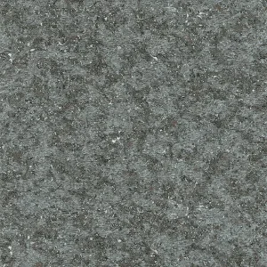 Bearded Leopard Birch White — Image 8