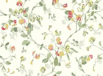 Sweet Pea Archive Anthology S100 6027