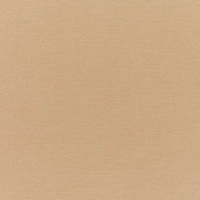 CANVAS CAMEL