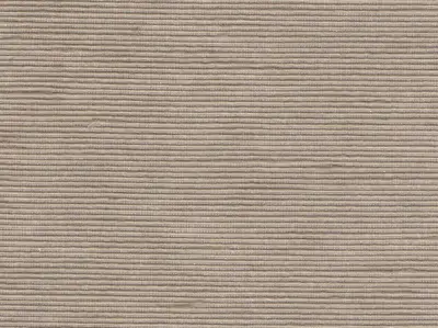 Stripe Sequin Weaving 20020716