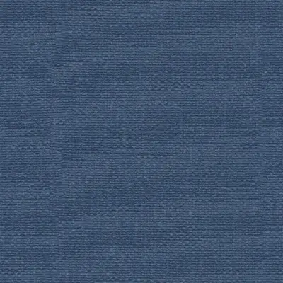 The Basic - Blue Tone