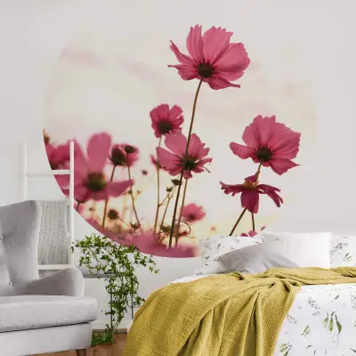 Pink Kosmeen - Wall Mural 5485 - Round - 144cm diameter