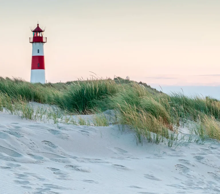 Scenic Walls - Lighthouse Mural - 3056-1 — Ảnh 2