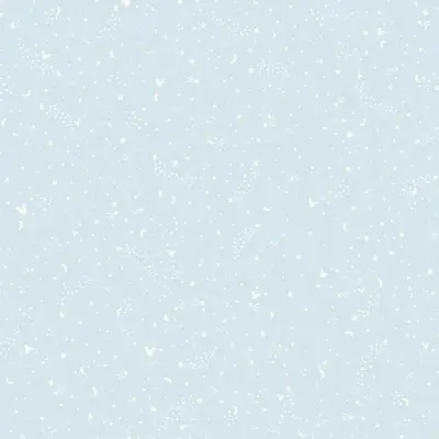 Disney Mickey Mouse Star — DI0985