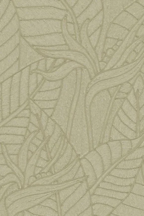 Strelitzia Olive — Image 2