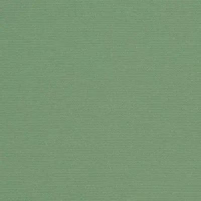 BASIL